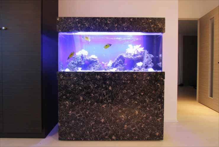 大理石調の台に設置された海水魚水槽と泳ぐ熱帯魚