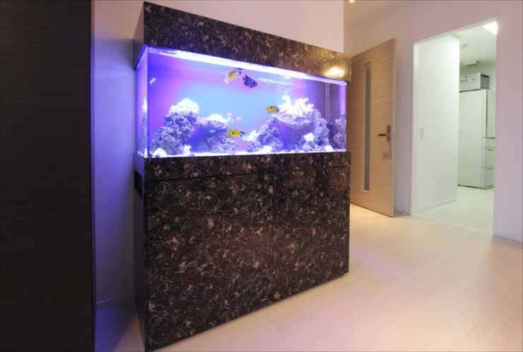大理石調の台に設置された海水魚水槽と室内風景
