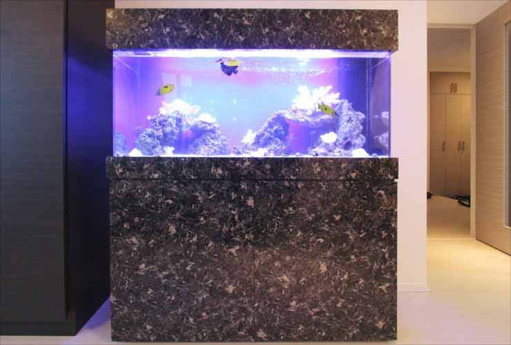 大理石調の台座と蓋に囲まれた海水魚水槽の全景