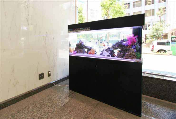 大理石の壁際に設置された黒い水槽台の海水魚水槽