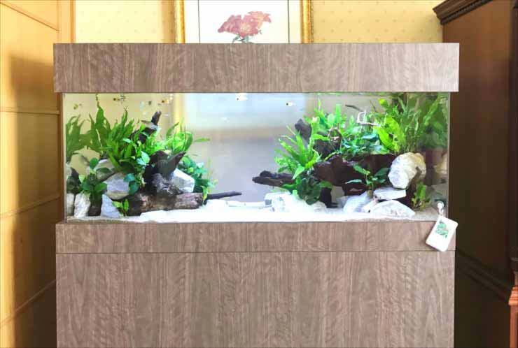 木目調の水槽台に設置された水草と流木の水槽レイアウト