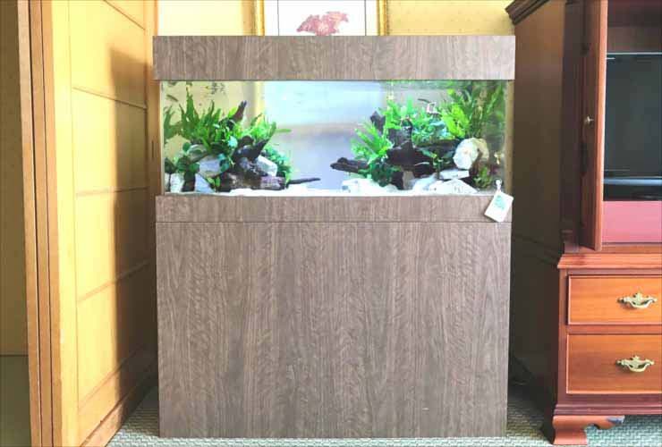 木目調の水槽台とキャノピーを備えた水草レイアウト水槽
