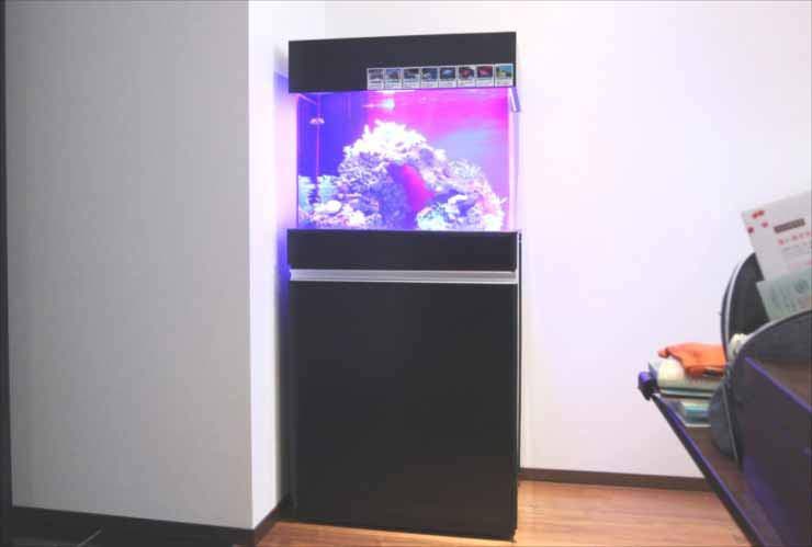 港区 個人宅のリビングに設置 60cm海水アクアリウム 水槽レンタル事例のサムネイル画像