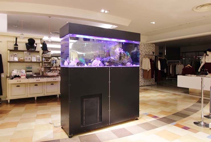 大田区 百貨店イベント 150cm海水魚水槽 短期レンタル事例のサムネイル画像