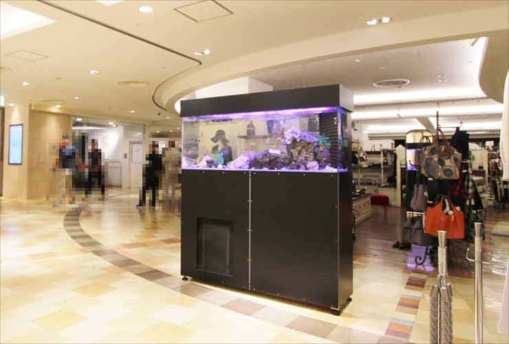 商業施設内に設置された大型の海水魚水槽