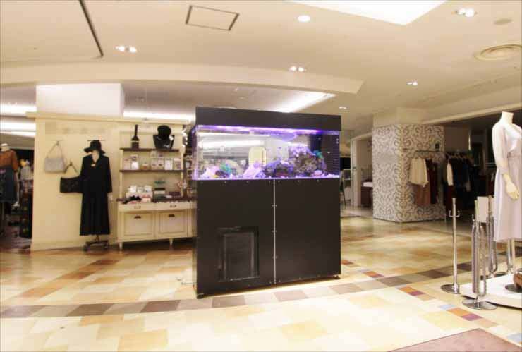 アパレルショップ店内に設置された大型の海水魚水槽