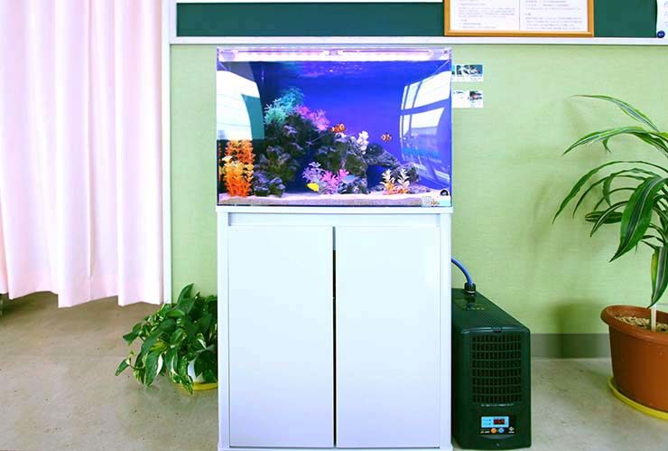 埼玉県草加市　整形外科の待合室　60cm海水魚水槽レンタル事例のサムネイル画像