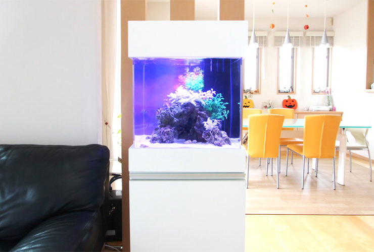 リビングに設置された白い水槽台と青く光る海水魚水槽