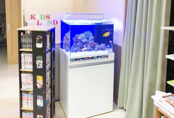 横浜　眼科クリニックの待合室 60cm海水魚水槽　リニューアル事例のサムネイル画像