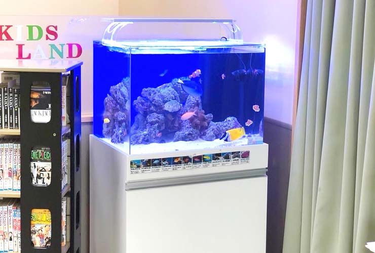 キッズコーナーに設置された海水魚水槽と岩のレイアウト