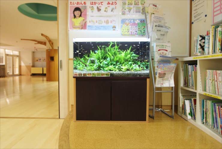 幼稚園の廊下に設置された水草と小型魚の熱帯魚水槽