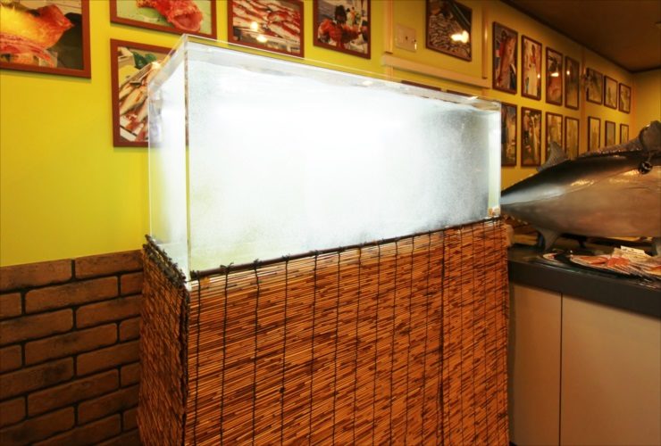 すだれを巻いた水槽台と白濁した大型アクリル水槽