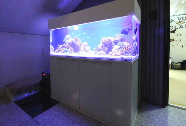 青い照明が灯る白い水槽台付きの大型海水魚水槽
