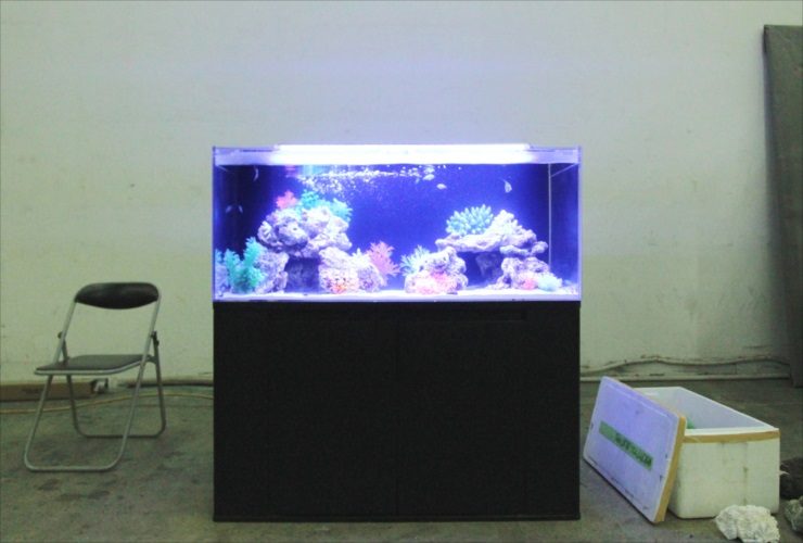 青い照明の海水魚水槽と黒い水槽台と折りたたみ椅子