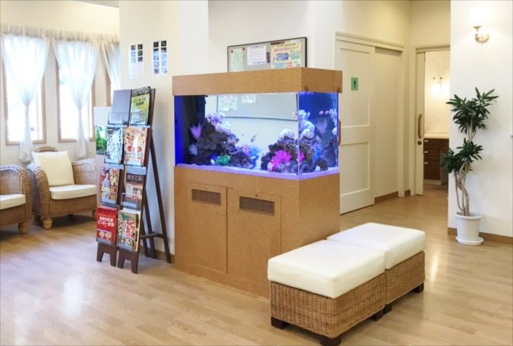 オアシス脳神経クリニック様　水槽入替　120cm海水魚水槽　リニューアル事例のサムネイル画像