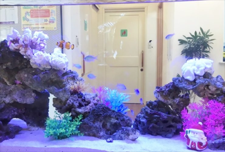 サンタの置物と海水魚が泳ぐ岩組みの水槽内観