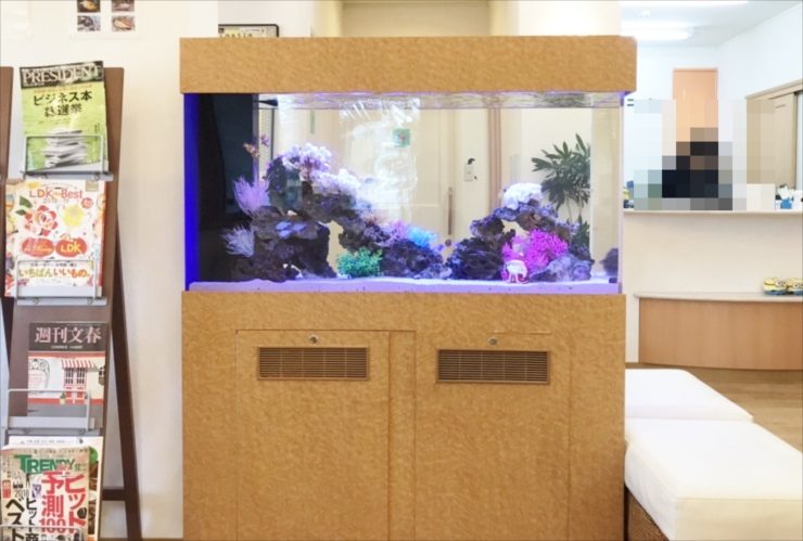 待合室に設置された木目調台の海水魚水槽