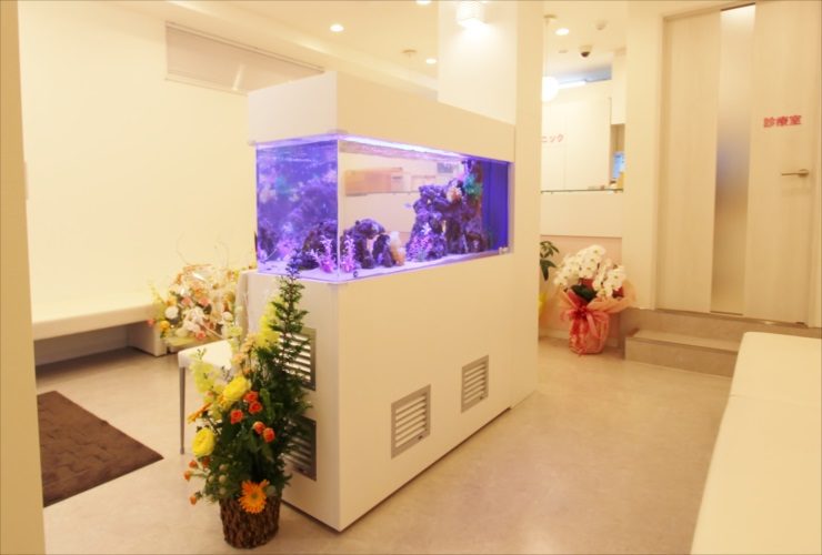 立川市 歯科クリニックの待合室 大型海水アクアリウム 設置事例 水槽画像3