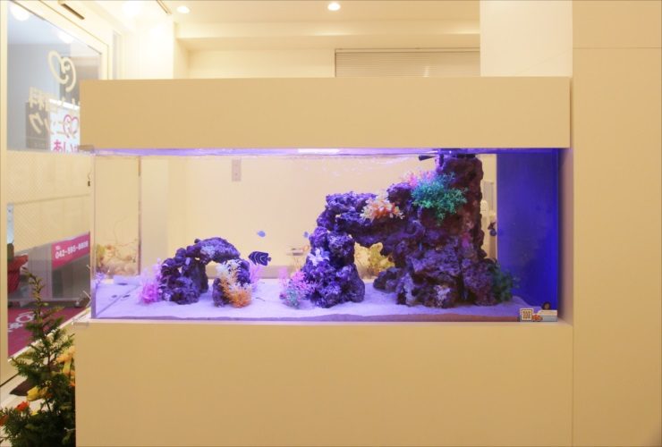 岩組と海水魚が泳ぐ埋め込み式の大型海水水槽