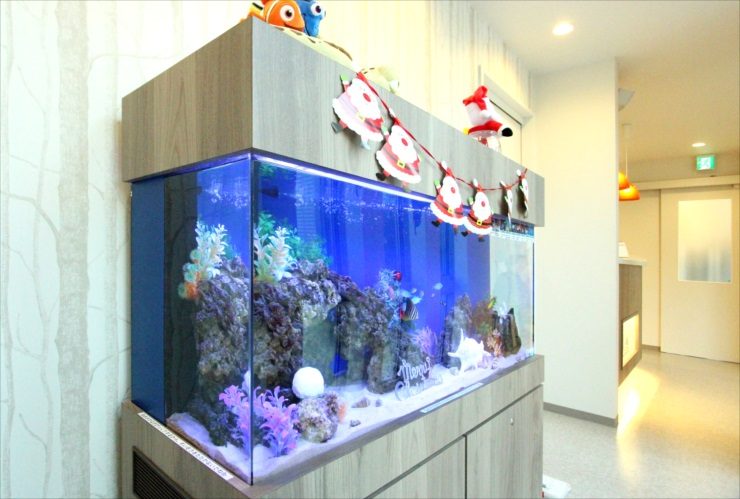千葉県 歯科クリニックに設置 120cm海水魚水槽 クリスマスレイアウト事例のサムネイル画像
