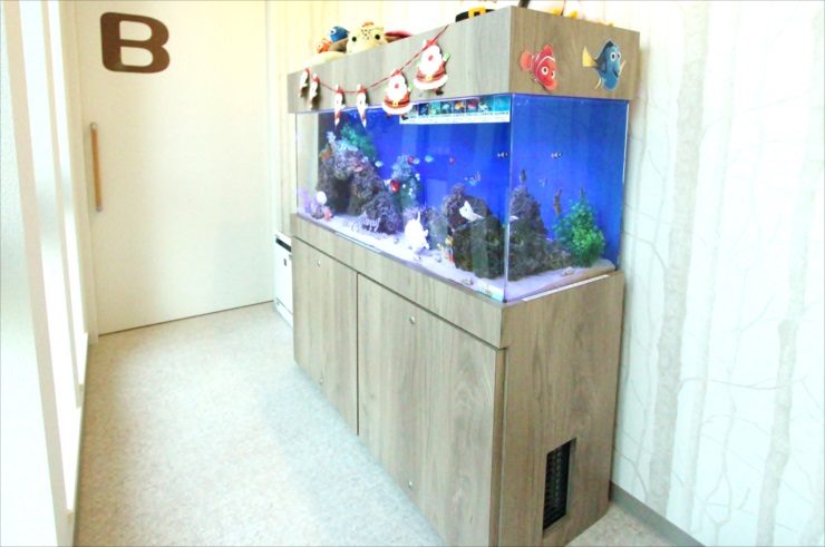 クリスマス装飾を施した大型の海水魚水槽と木目調の水槽台