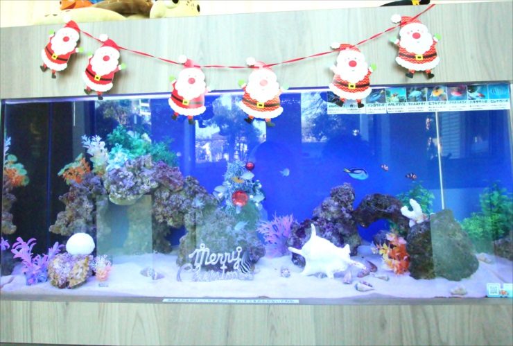 サンタの装飾があるクリスマス仕様の海水魚水槽