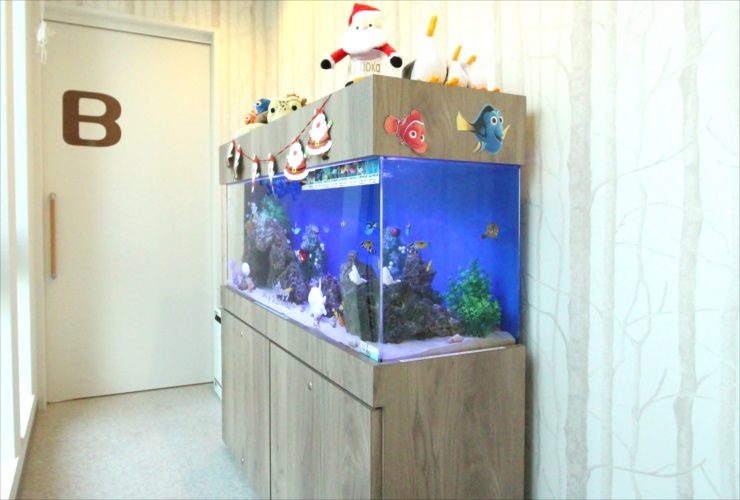 クリスマス装飾を施した大型の海水魚水槽と木目調の水槽台