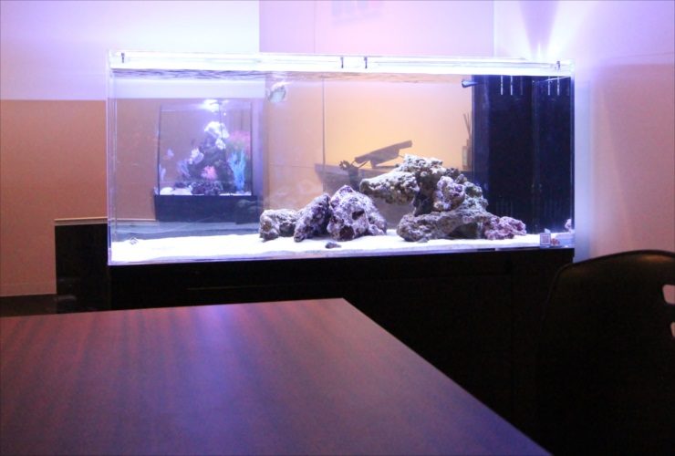 ライブロックを配置した大型の海水魚水槽と室内の風景