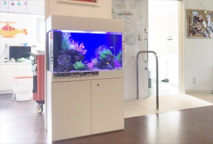 世田谷区 小児科の待合室に設置 海水魚水槽 レイアウトリニューアル事例 水槽画像1
