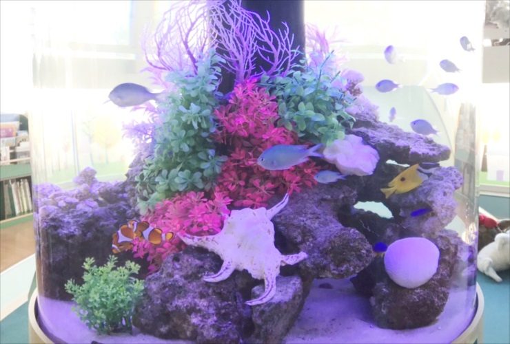 カラフルな人工水草と海水魚が泳ぐ円柱水槽のレイアウト