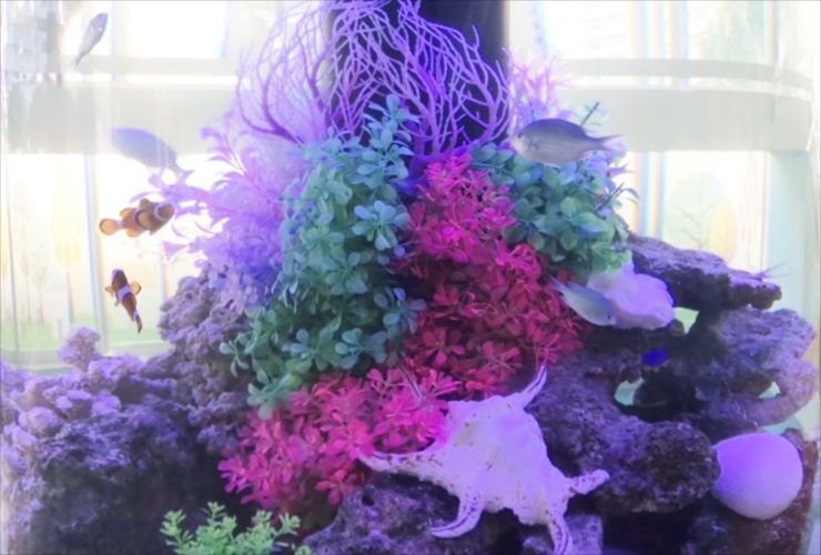 カラフルな人工水草と海水魚が泳ぐ円柱水槽のレイアウト