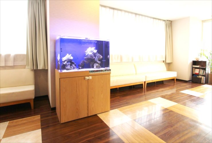 横浜市 内科皮膚科 待合室 90cm海水魚水槽 短期レンタル事例のサムネイル画像