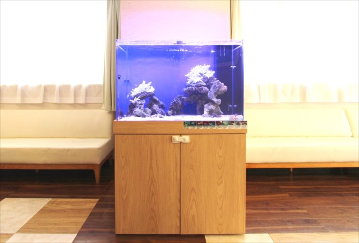 横浜市 内科皮膚科 待合室 90cm海水魚水槽 短期レンタル事例 水槽画像3