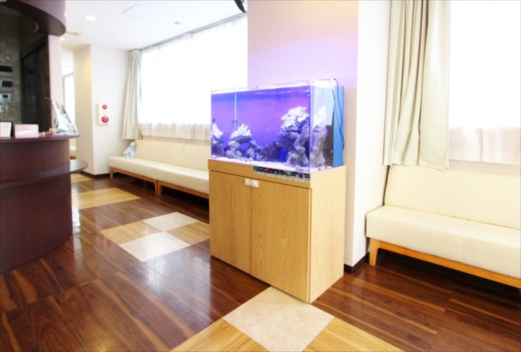 待合室に設置された青い照明の海水魚水槽と木製水槽台