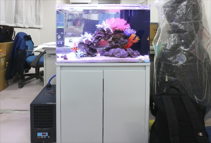 オフィスに設置された海水魚水槽と白い水槽台の正面写真