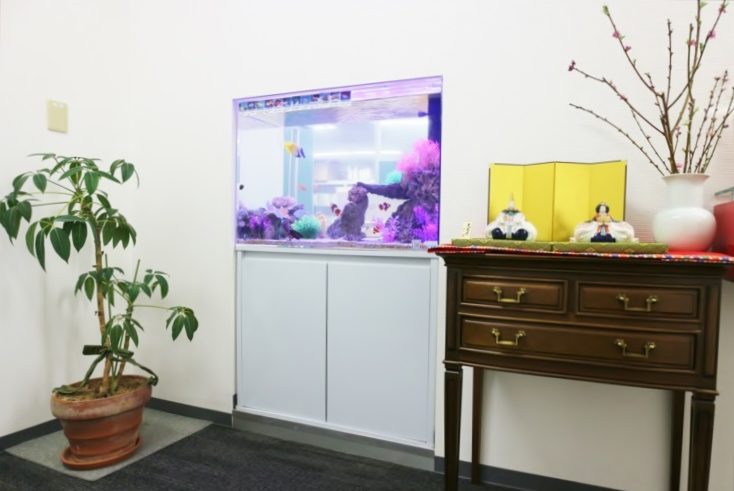 港区　会計事務所に設置　90cm海水魚水槽　リニューアル事例のサムネイル画像