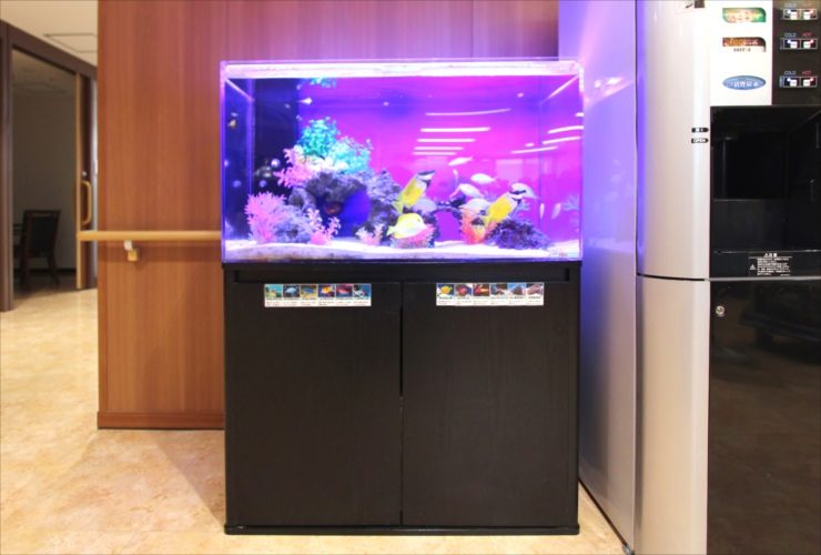 練馬区 特別養護老人ホーム 90cm海水魚水槽 レンタル事例 水槽画像1