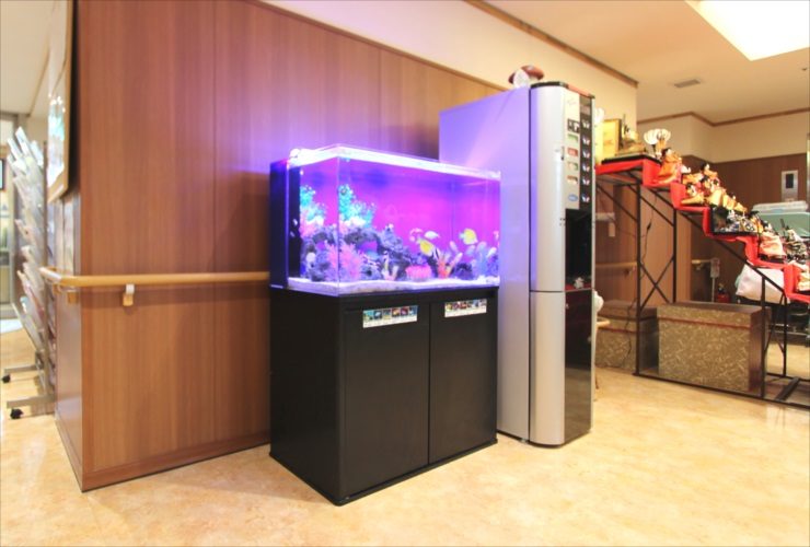 練馬区 特別養護老人ホーム 90cm海水魚水槽 レンタル事例 水槽画像2