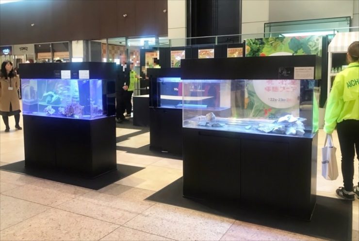 イベントブースに120cm水槽を4台設置 短期レンタル・メンテナンス事例のサムネイル画像