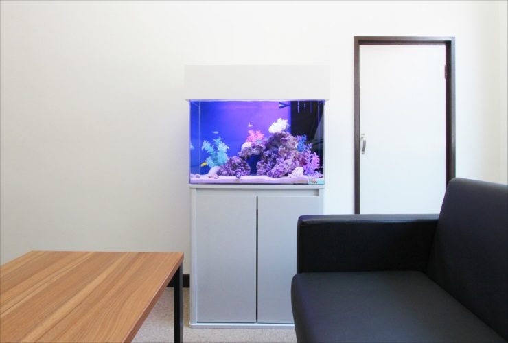 ソファのある部屋に設置された青い照明の海水魚水槽