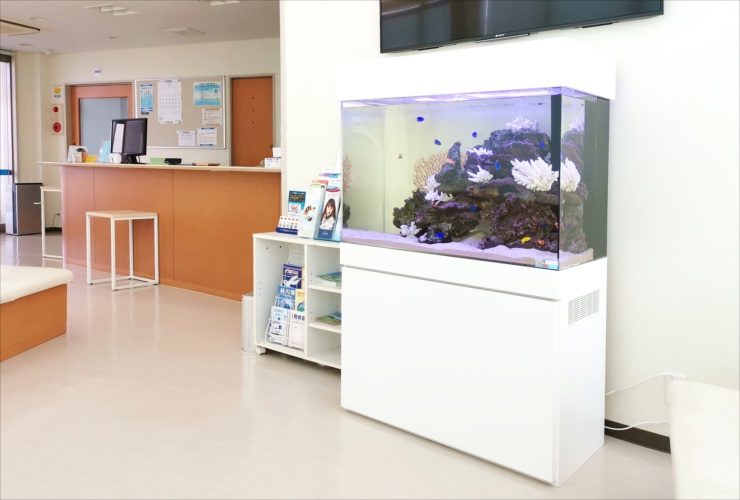 病院の待合室に設置された白い水槽台の海水魚水槽