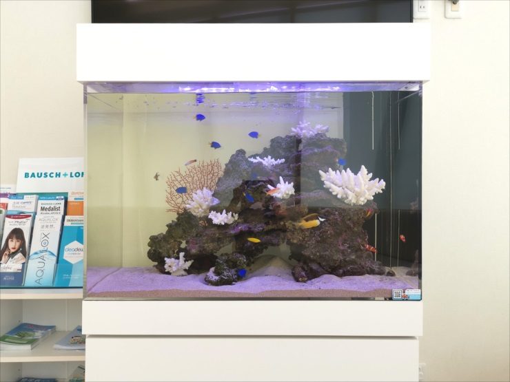 白い水槽台に設置された海水魚とサンゴの大型水槽