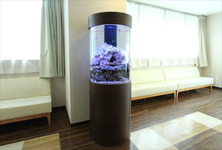 横浜 内科皮膚科の待合室 大型円柱水槽 販売・メンテナンス事例 水槽画像2