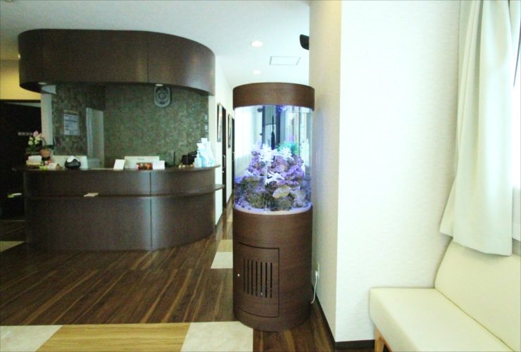横浜 内科皮膚科の待合室 大型円柱水槽 販売・メンテナンス事例 水槽画像3
