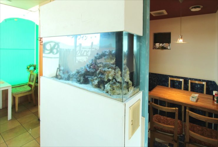大田区　飲食店　120cm海水魚水槽　スポットメンテナンス事例のサムネイル画像