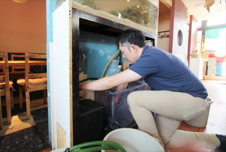 水槽台の下でろ過フィルターをメンテナンスする男性