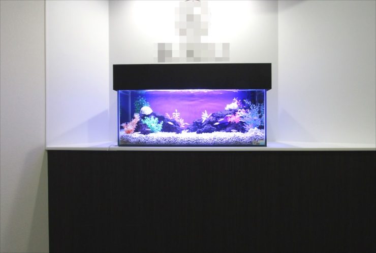 青い照明に照らされた海水魚風の造花入り水槽