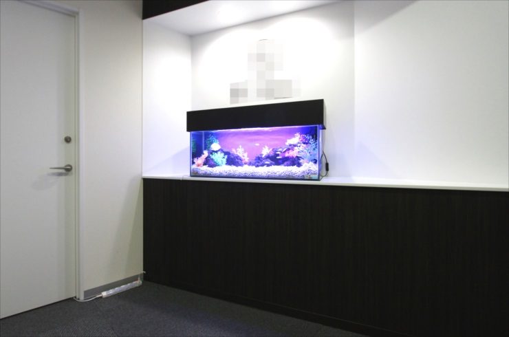 白い壁の部屋に設置された青い照明の横長水槽