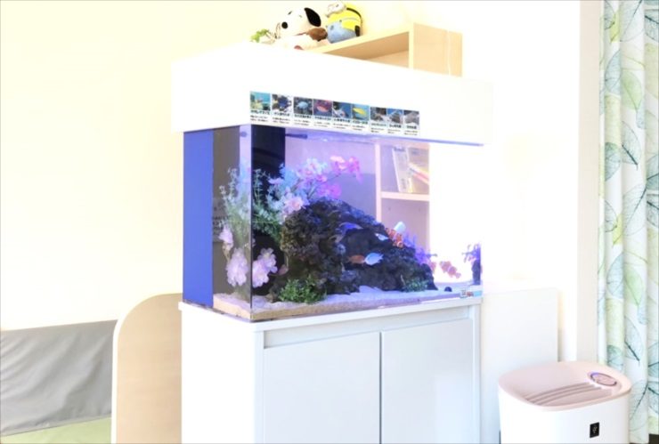 立川市 クリニック待合室 60cm海水魚水槽レンタル事例 レイアウトリニューアルのサムネイル画像
