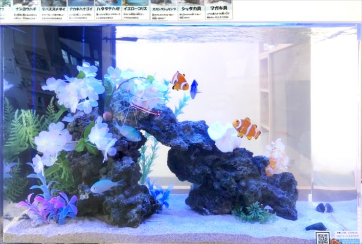 クマノミや海水魚が泳ぐ造花と岩の海水魚水槽